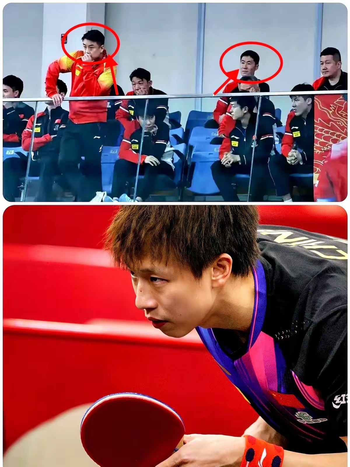 英国乒乓球队爆冷瑞典乒乓球队,王皓一己之力扛起全队的简单介绍 英国乒乓球队爆冷瑞典乒乓球队,王皓一己之力扛起全队的简单介绍