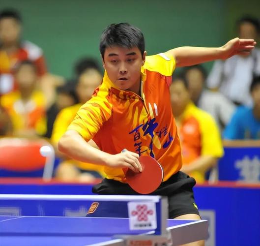 法国队翻盘奥地利队,王皓扛起全队的简单介绍 法国队翻盘奥地利队,王皓扛起全队的简单介绍